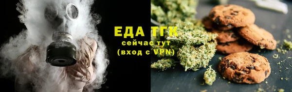 прущие грибы Горняк