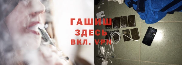 прущие грибы Горняк