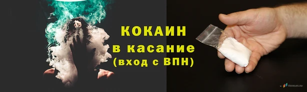 прущие грибы Горняк