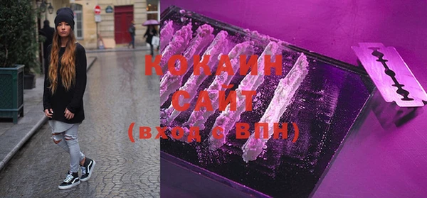 прущие грибы Горняк