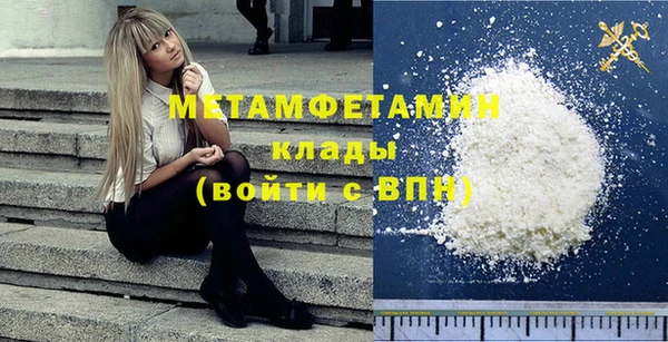 прущие грибы Горняк