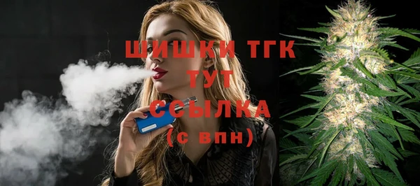прущие грибы Горняк