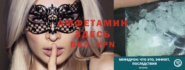 прущие грибы Горняк