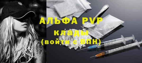 прущие грибы Горняк